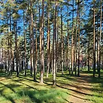 Vila Pekovic Blue Apartman A9