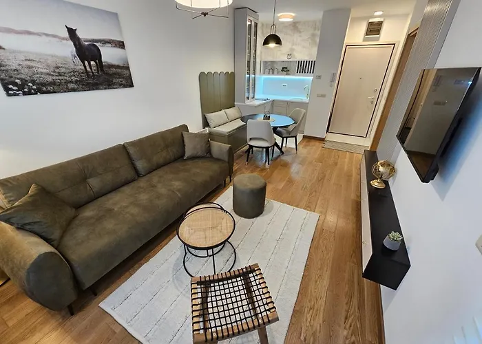 Vila Pekovic Blue Apartman A9