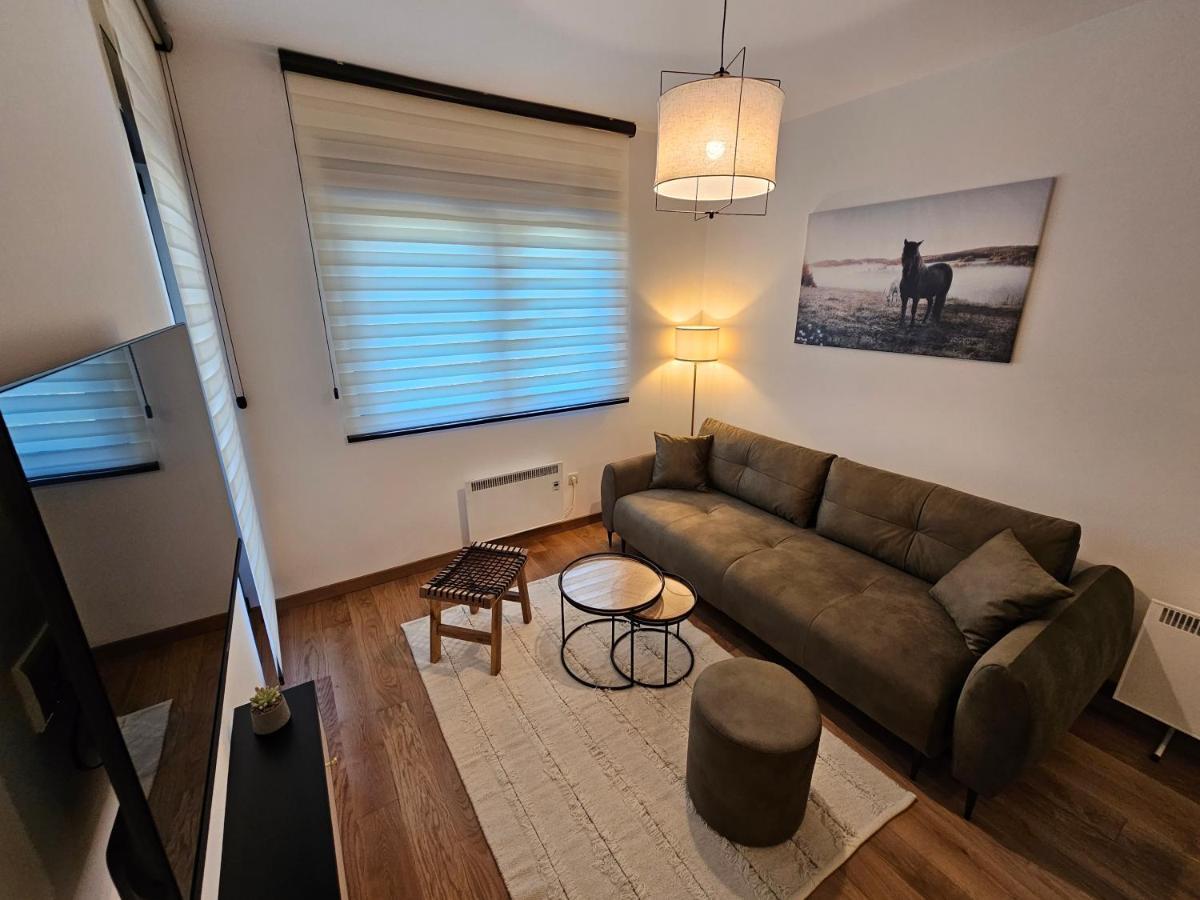 Vila Pekovic Blue Apartman A9 *