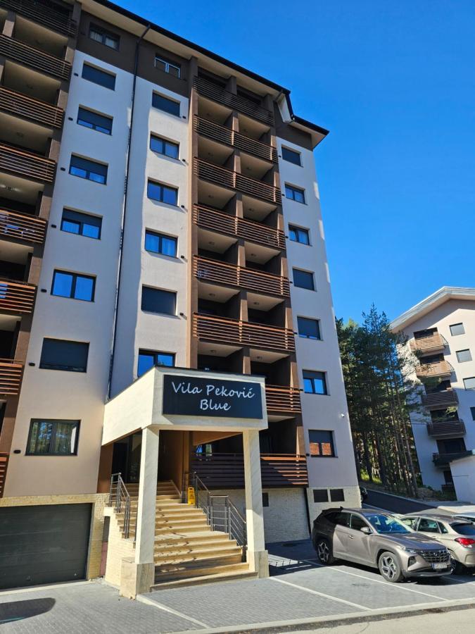 Apartment Vila Pekovic Blue Apartman A9 Zlatibor