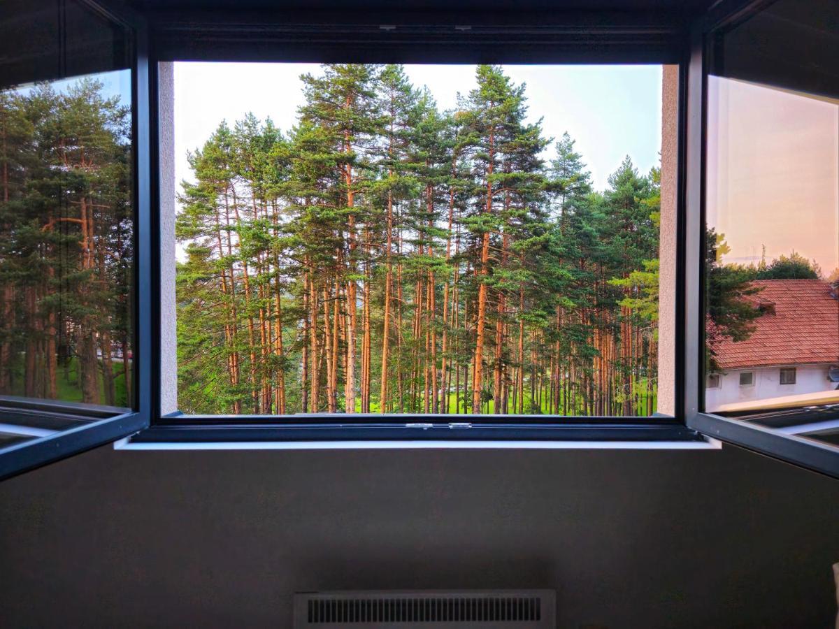 Vila Pekovic Blue Apartman A9 Apartment Zlatibor