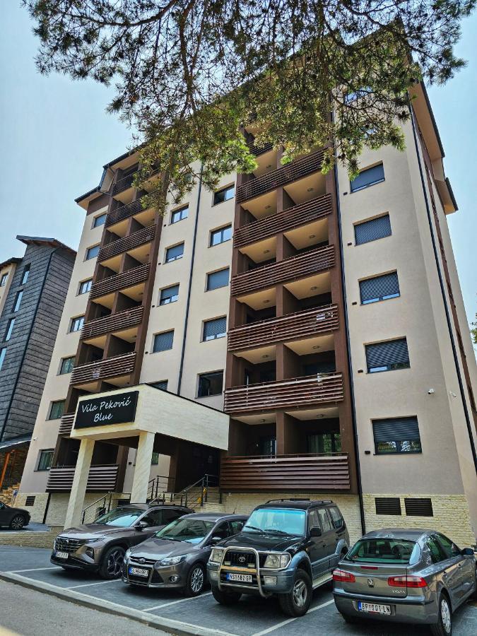 Vila Pekovic Blue Apartman A9 * Zlatibor