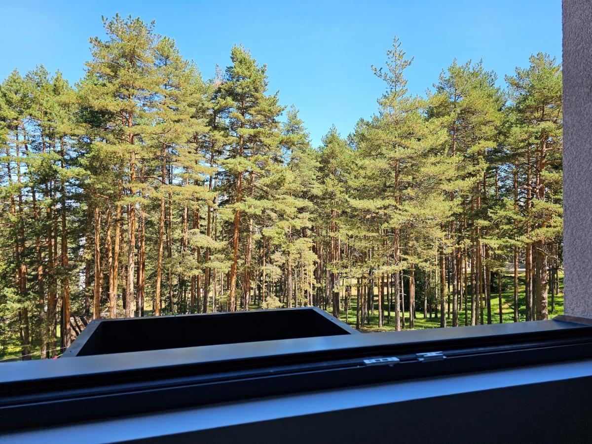 Vila Pekovic Blue Apartman A9 Apartment *