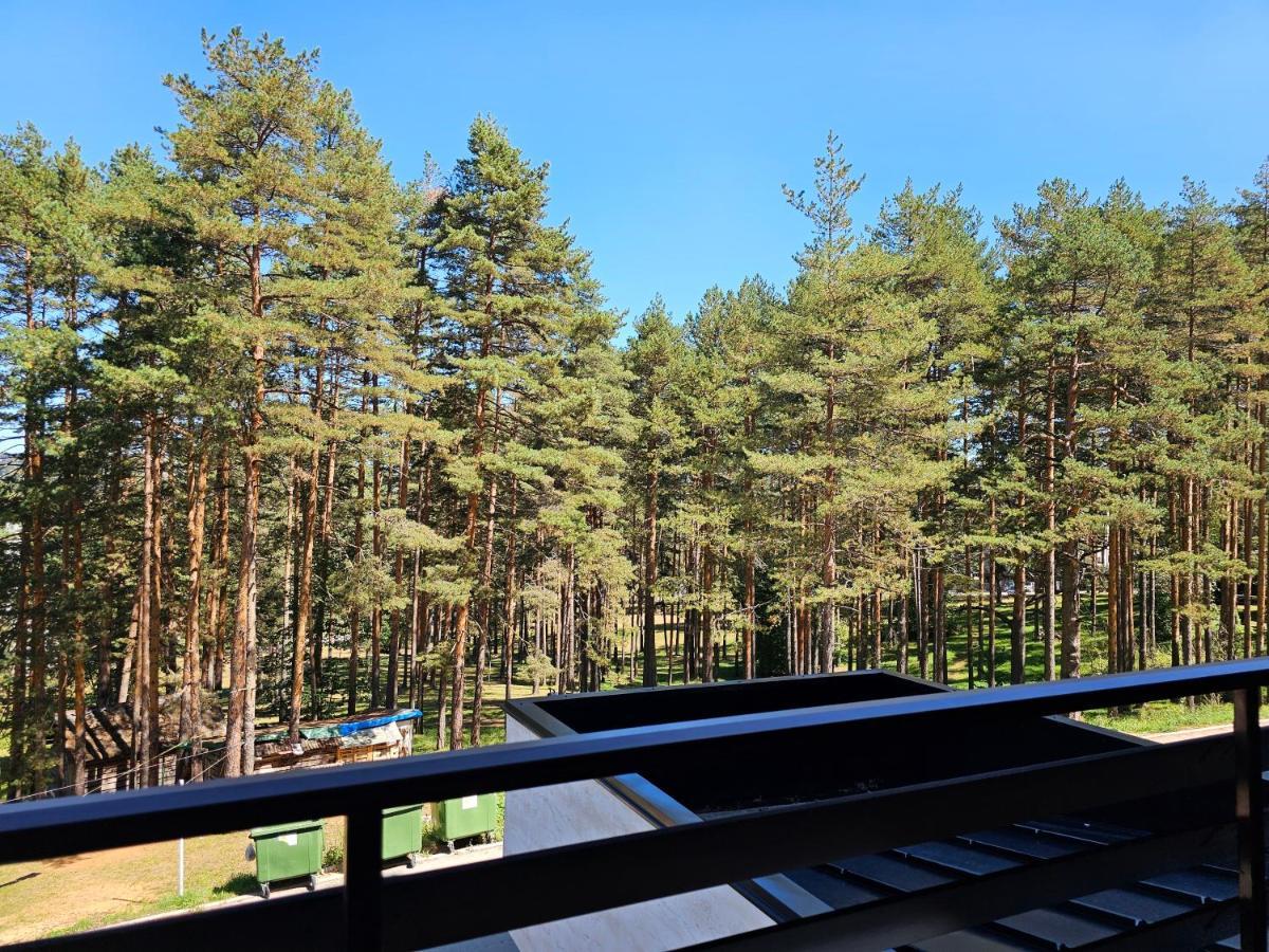 Vila Pekovic Blue Apartman A9 Apartment *