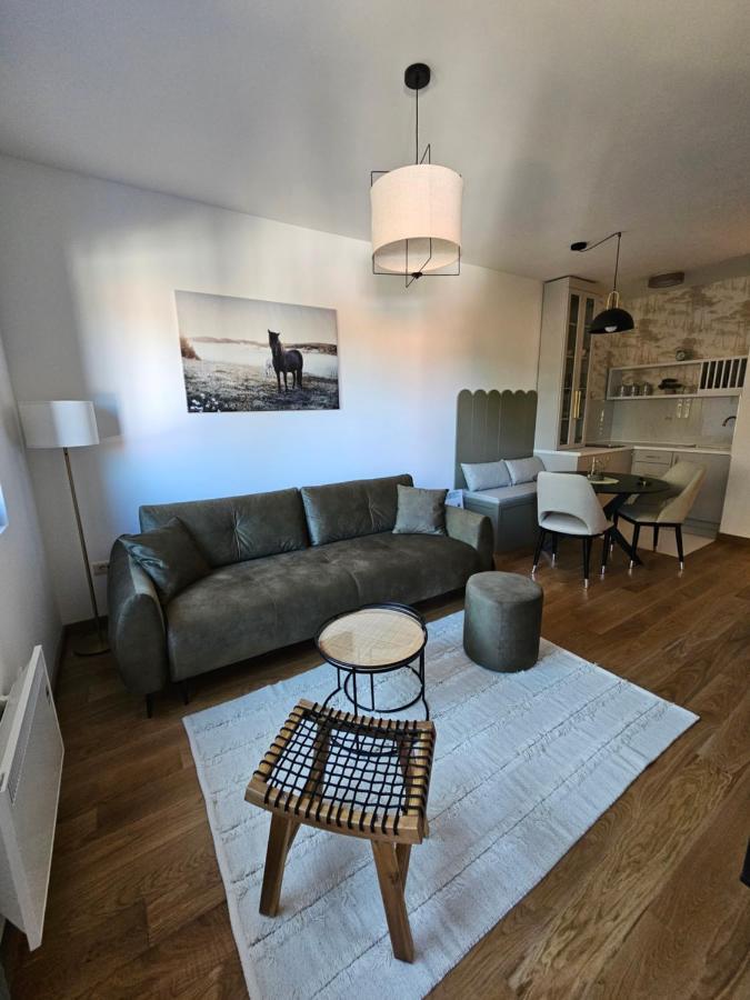 Vila Pekovic Blue Apartman A9 * Zlatibor