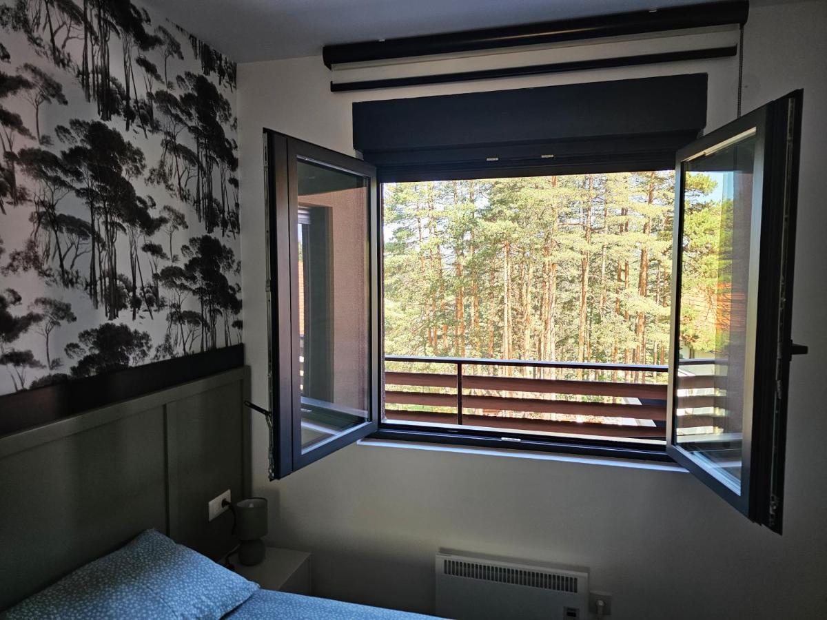 Vila Pekovic Blue Apartman A9 Apartment Zlatibor