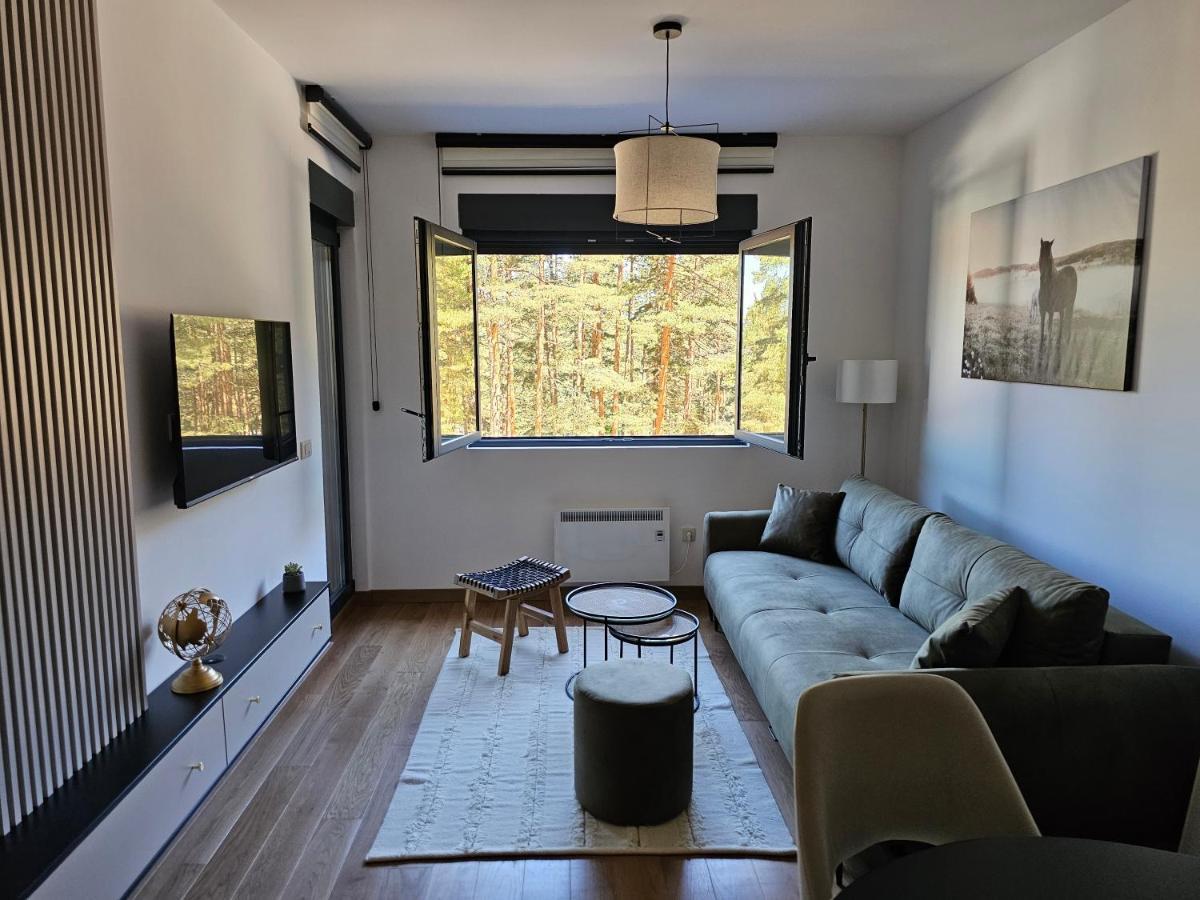Vila Pekovic Blue Apartman A9 Zlatibor