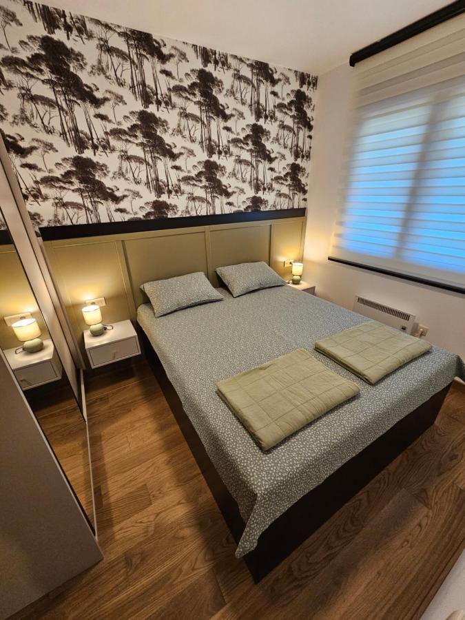 Vila Pekovic Blue Apartman A9
