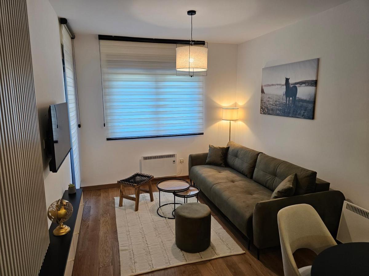 Apartment Vila Pekovic Blue Apartman A9 Zlatibor