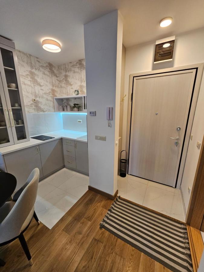 Apartment Vila Pekovic Blue Apartman A9 Zlatibor