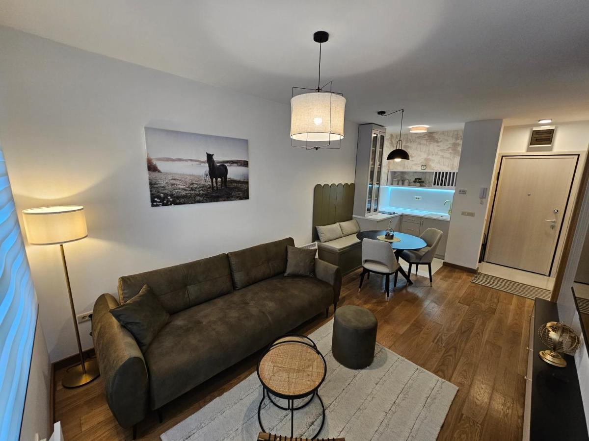 Apartment Vila Pekovic Blue Apartman A9