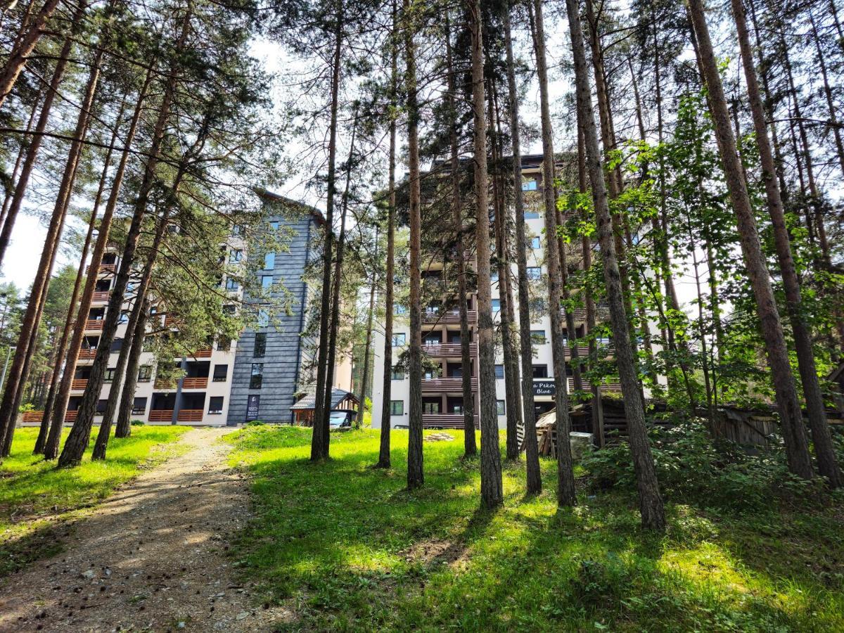 Vila Pekovic Blue Apartman A9 Apartment *