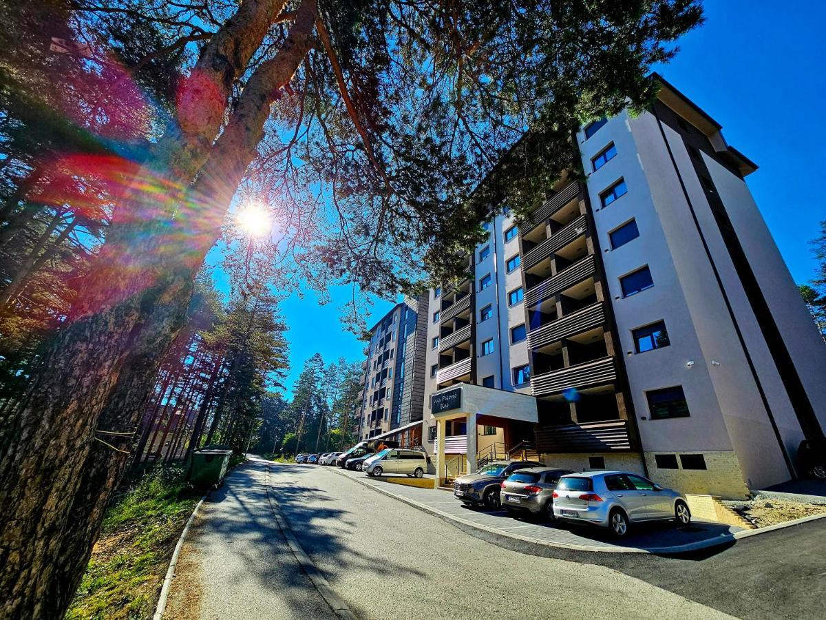 Vila Pekovic Blue Apartman A9