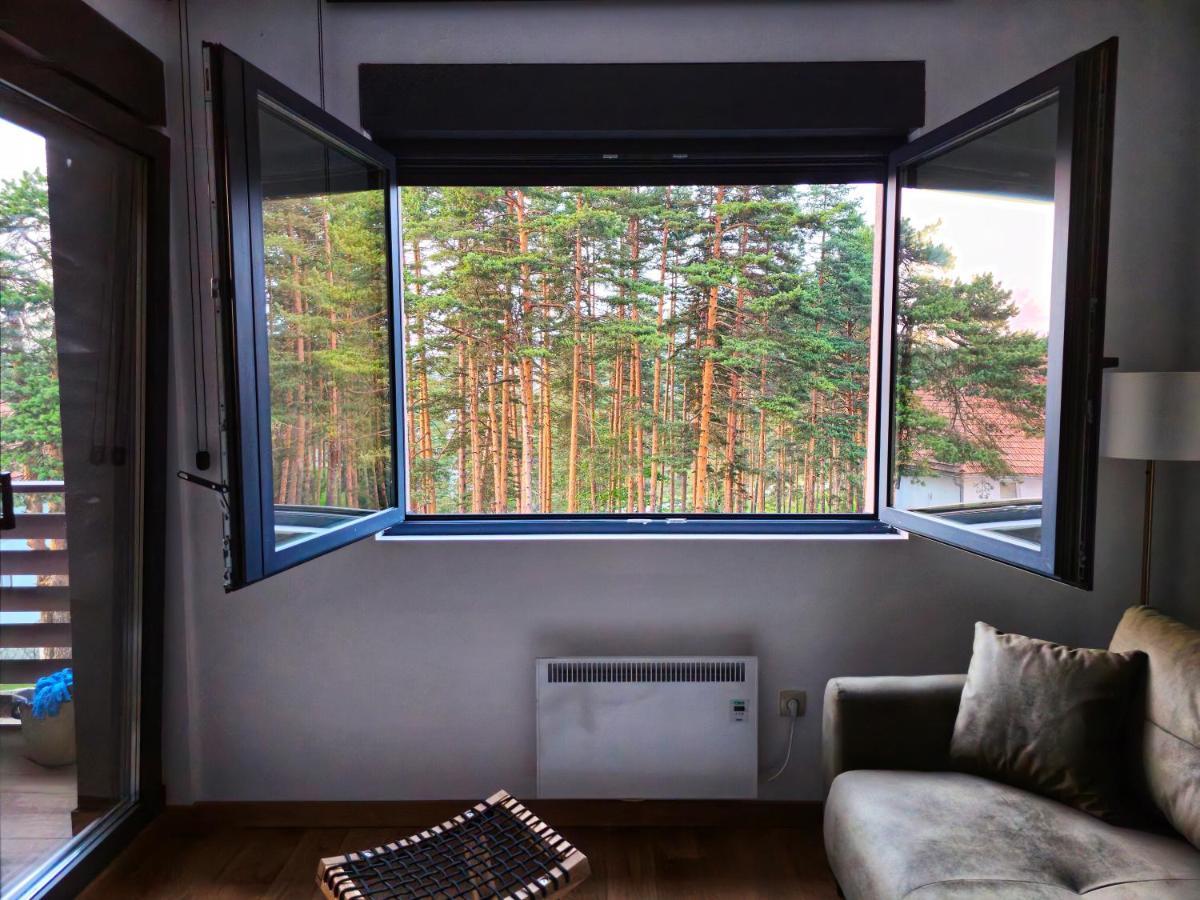 Apartment Vila Pekovic Blue Apartman A9 *