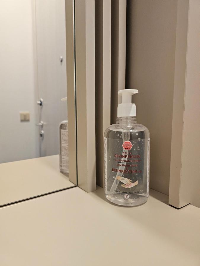 Apartment Vila Pekovic Blue Apartman A9